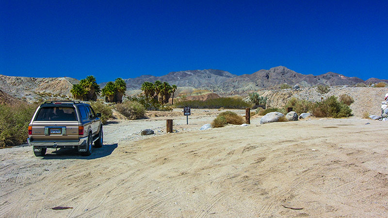 Desert Oasis Trip