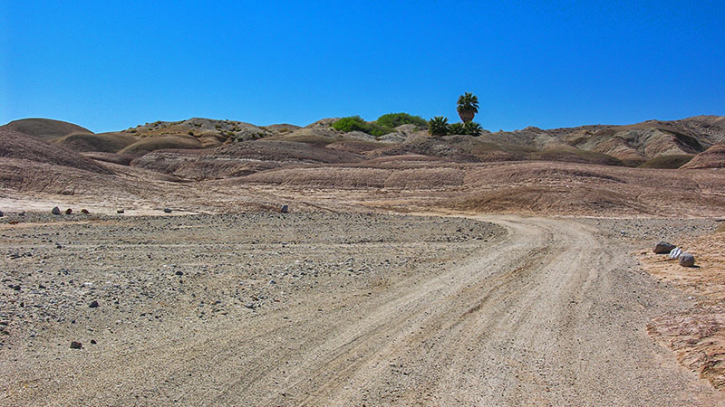 Desert Oasis Trip