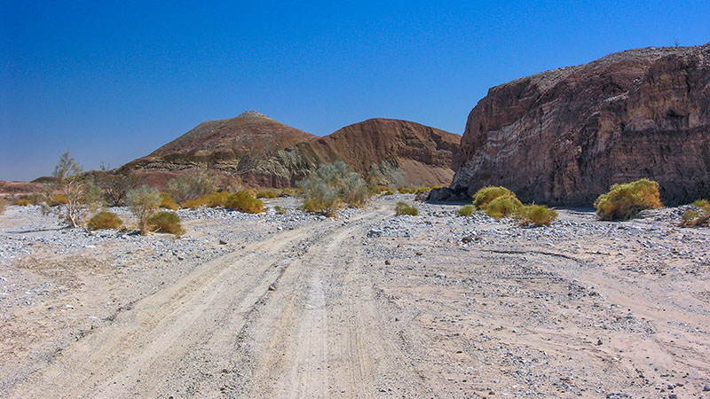 Desert Oasis Trip