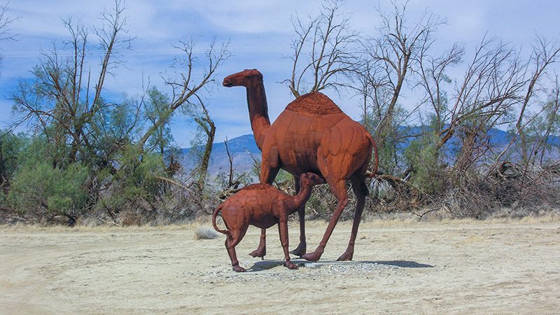 Many of the animals depicted at Galleta Meadows