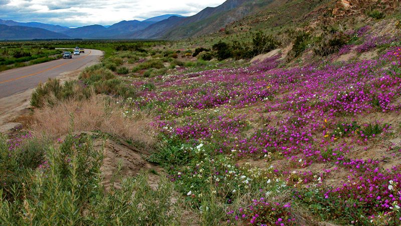 East end of Henderson Cyn Rd