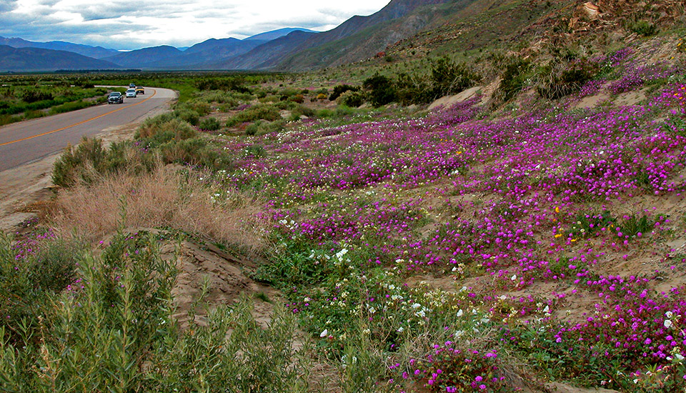 East end of Henderson Cyn Rd