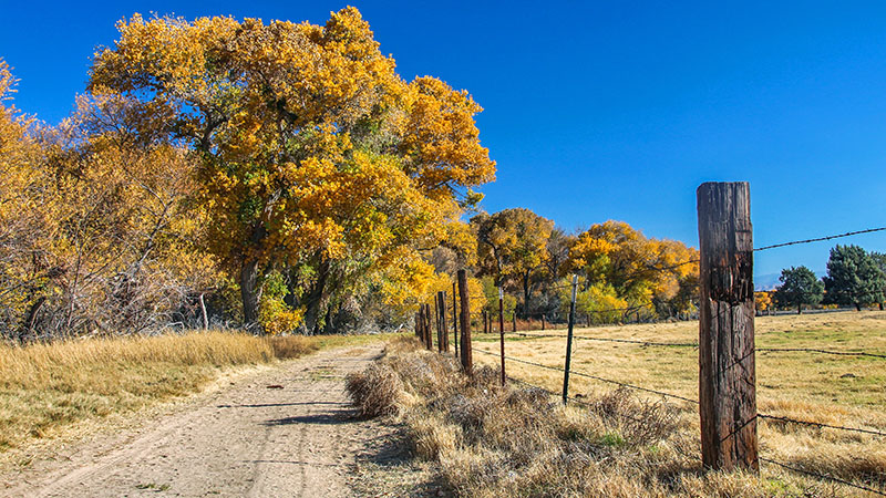 Mojave Narrows