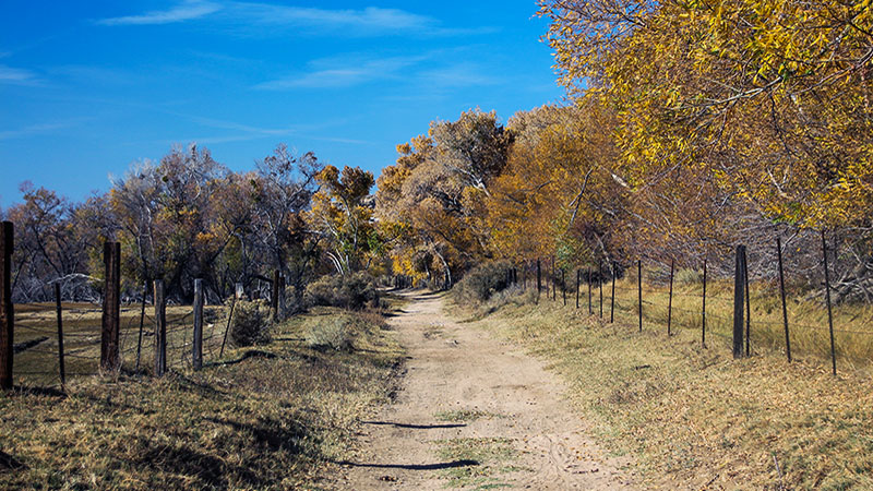 Mojave Narrows