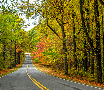 Virginia Back Roads