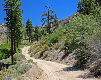 Back Road to Big Bear