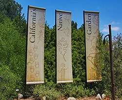 Rancho Santa Ana Botanical Garden