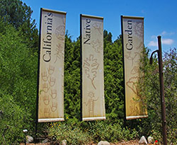 Botanical Botanical
