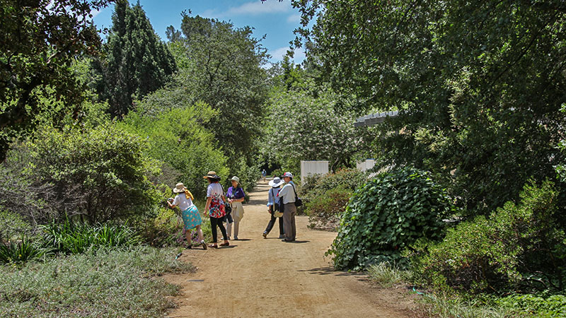 Rancho Santa Ana Botanical Garden