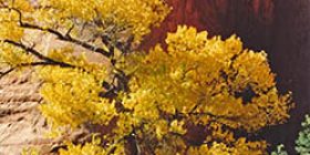 UtahFall