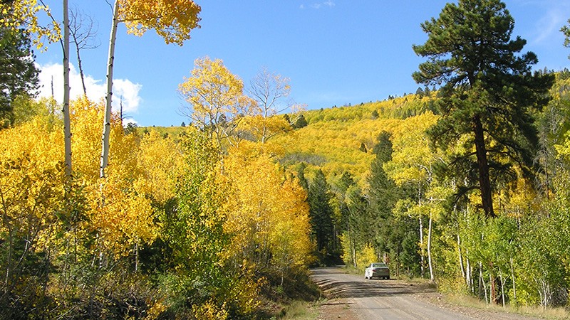 Road to Devil’s Backbone near Escalante