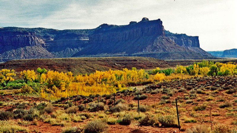 Fall Colors in Southern Utah