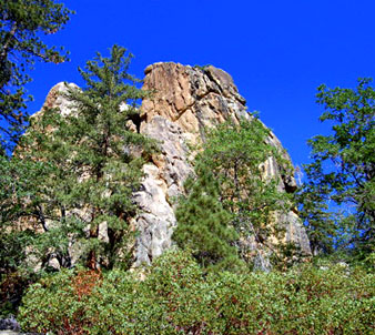 Castle Rock Hike in Big Bear