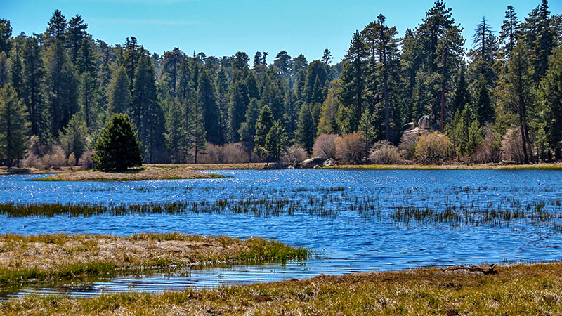 Bluff Lake