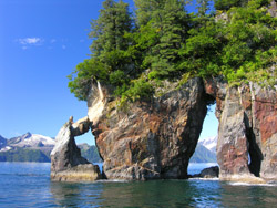 Day Trip to Kenai Fjords National Park