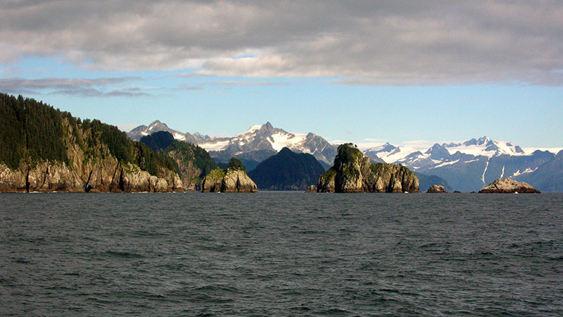 Day Trip to Kenai Fjords National Park