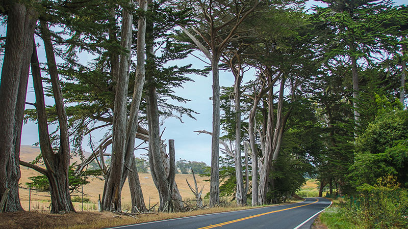 Point Reyes Area