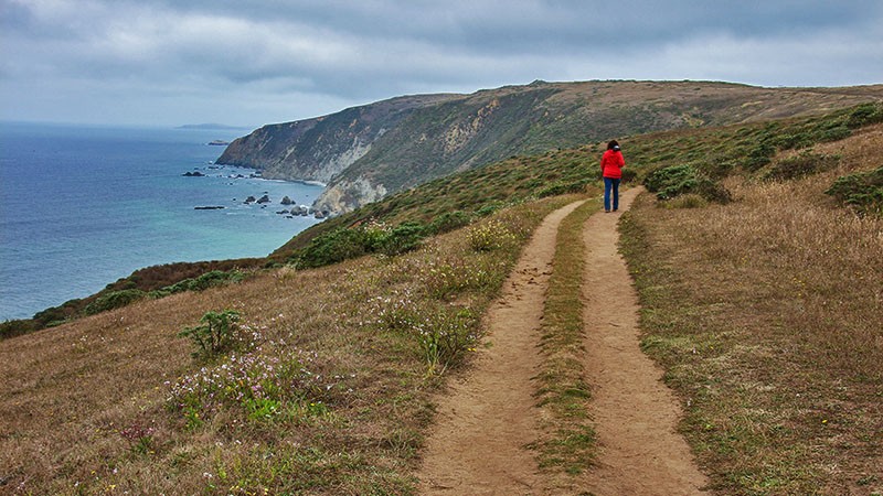 PointReyesSldr5