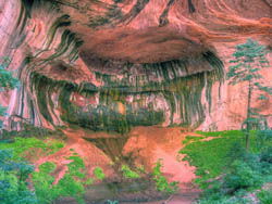 Taylor Creek Hike in Zion