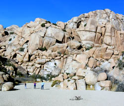 Willow Hole in Joshua Tree National Park