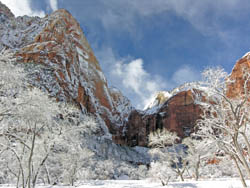 Zion in the Snow