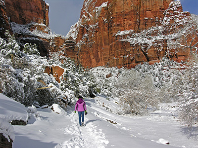 Zion in the Snow