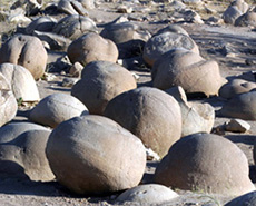 Pumpkin Patch – Anza-Borrego