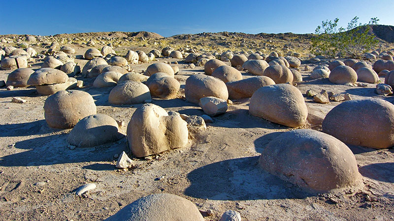 Pumpkin Patch – Anza-Borrego