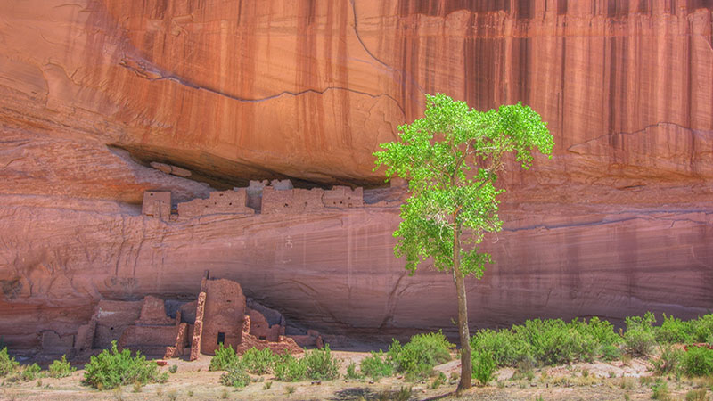 Canyon de Chelly: White House Ruin