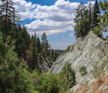 San Andreas Fault near Wrightwood