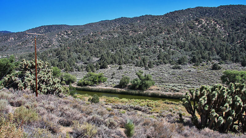 San Andreas Fault Tour near Wrightwood