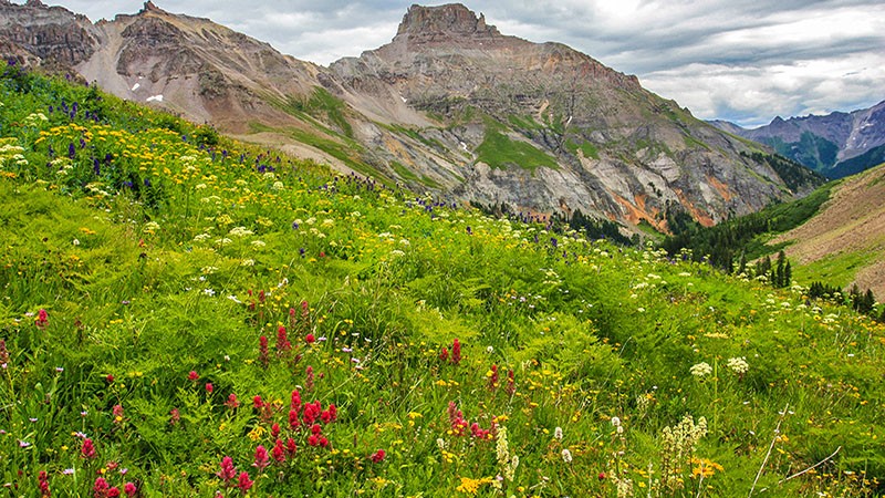 Yankee Boy Basin