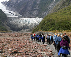 Franz Josef Glacier