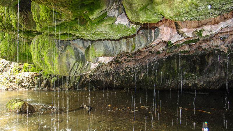 Natural Bridge near Angels Camp