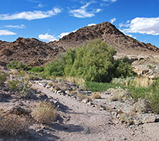 Salt Creek Hills: on the edge of Death Valley