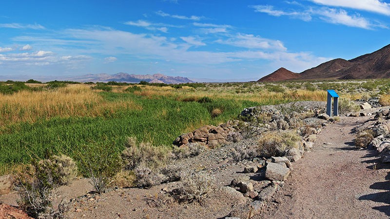 Salt Creek Hills, Death Valley