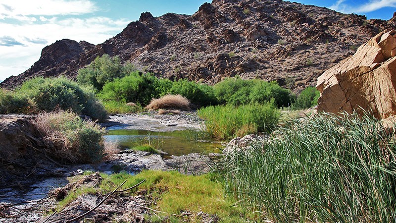 Salt Creek Hills, Death Valley