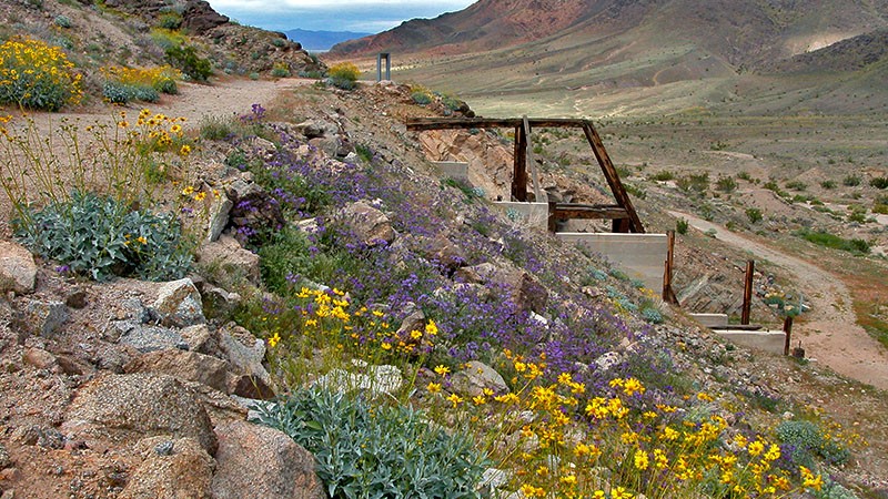 Salt Creek Hills, Death Valley