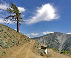 Blue Ridge in the San Gabriel Mountains