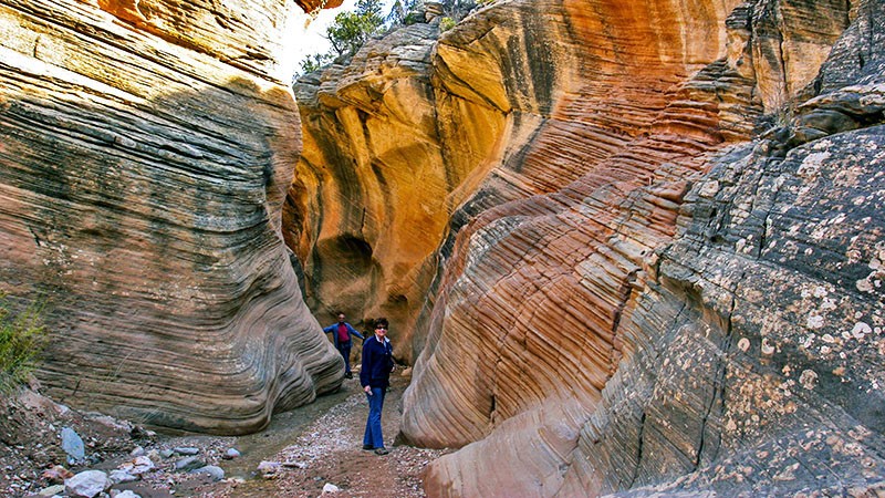 Willis Creek Slot Canyon