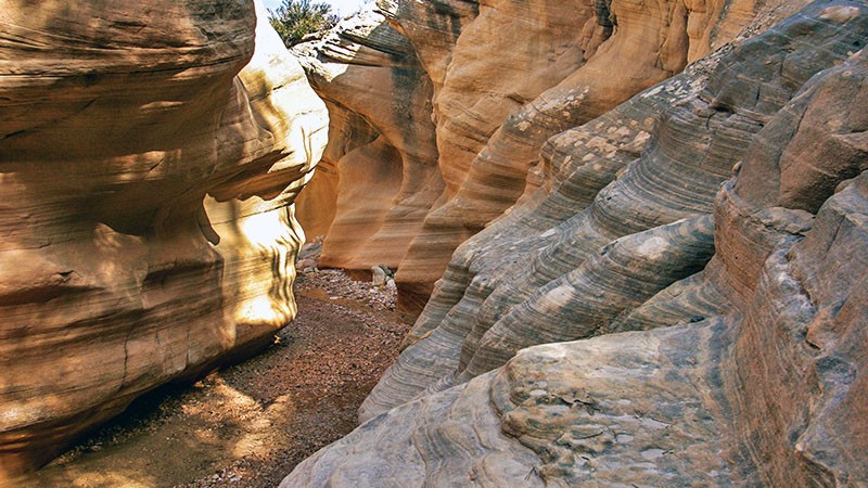 Willis Creek Slot Canyon