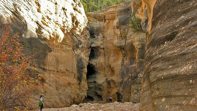 Willis Creek Slot Canyon