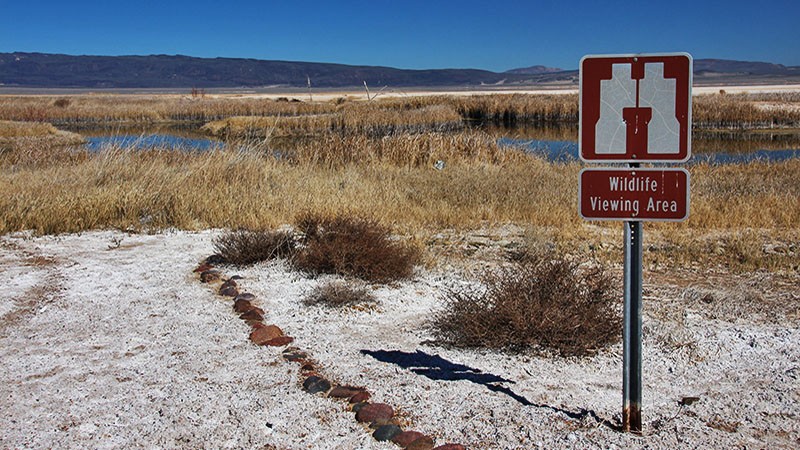 Harper Dry Lake wildlife viewing area