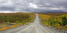 Denali Hwy