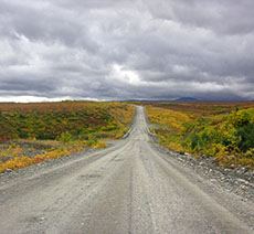 Denali Highway Alaska Fall Colors