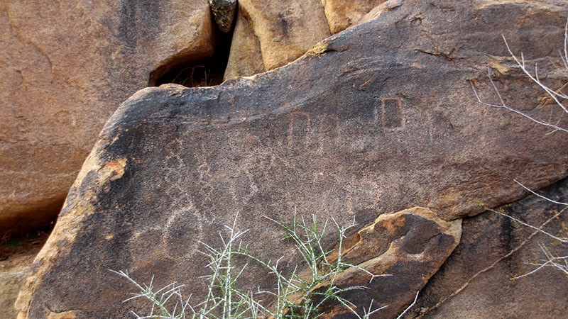 Petroglyphs can be seen within the first half mile