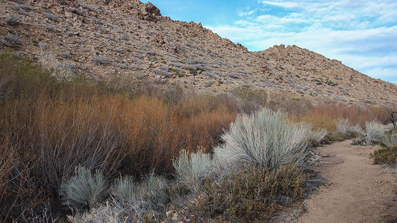 A typical view of Pipes Canyon