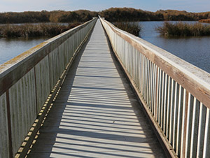 Oso Flaco Lake near Pismo Beach