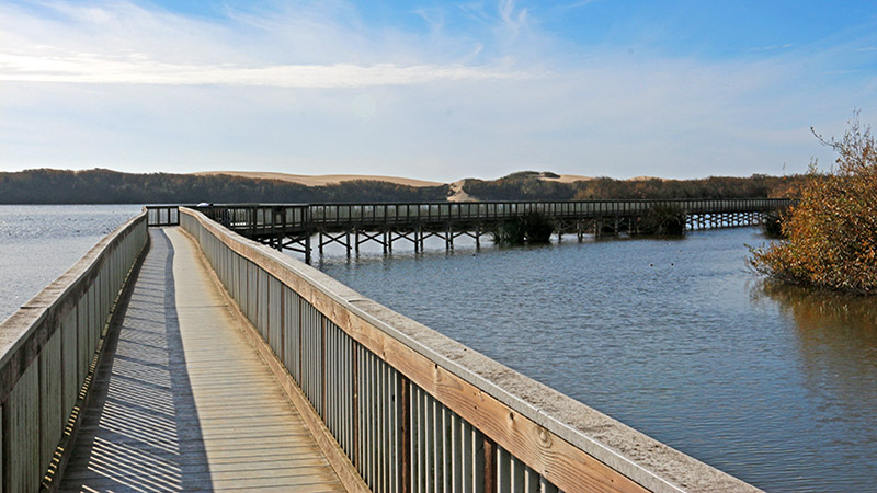 Oso Flaco Lake near Pismo Beach