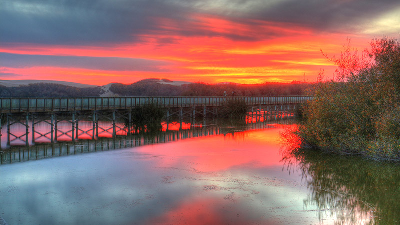 Oso Flaco Lake near Pismo Beach